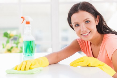 Professional domestic cleaning in an Ealing family home