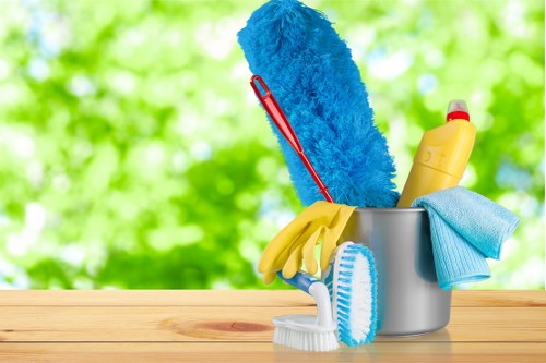 Professional window cleaning for a home in Ealing