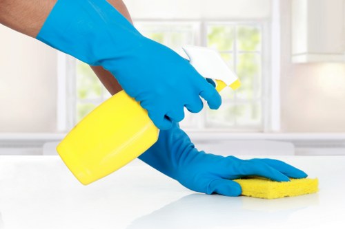 Professional resolution of a carpet cleaning issue