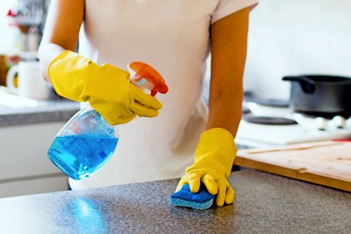 Detailed carpet cleaning treatment for a residential carpet in Ealing