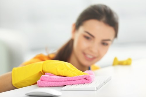 Deep cleaning tasks for a tidy Ealing family home