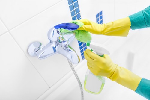 Screen-reader support for carpet cleaning website access