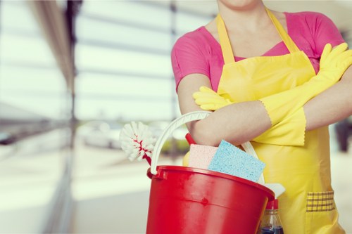 Domestic cleaners in Ealing cleaning a tidy living room