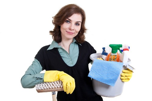 Deep carpet cleaning for a busy Ealing household