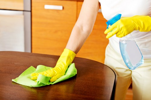 Professional house clearance in Ealing preparing a room for emptying